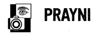 Logo Payni