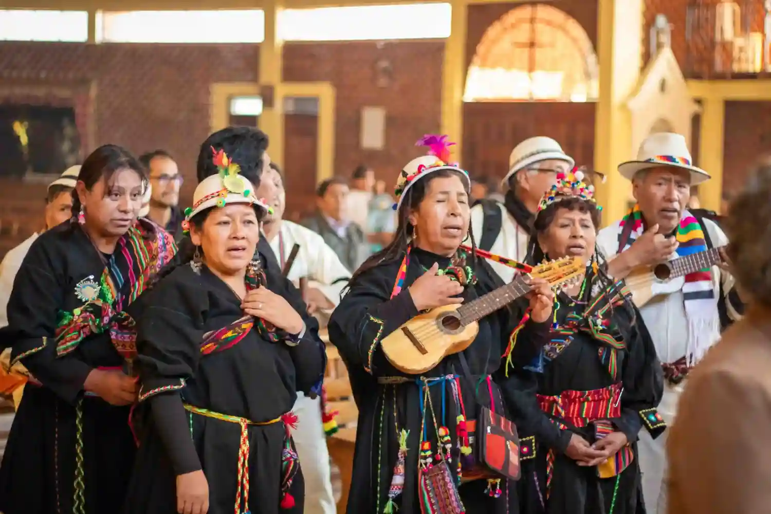 Danza potolos